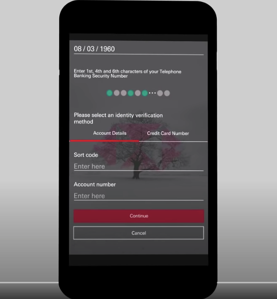 HSBC paroolisissekande näide
