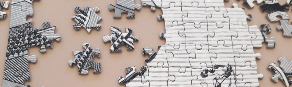 Miks peaks integreerima tarkvara?