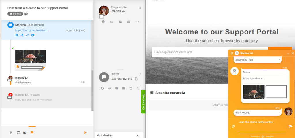 LiveAgent - reaalajas tippimise eelvaade