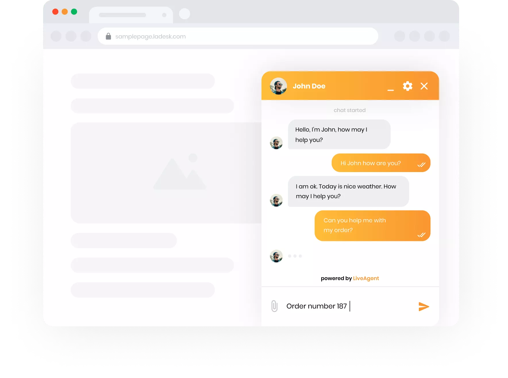 LiveAgenti otseabi vaade