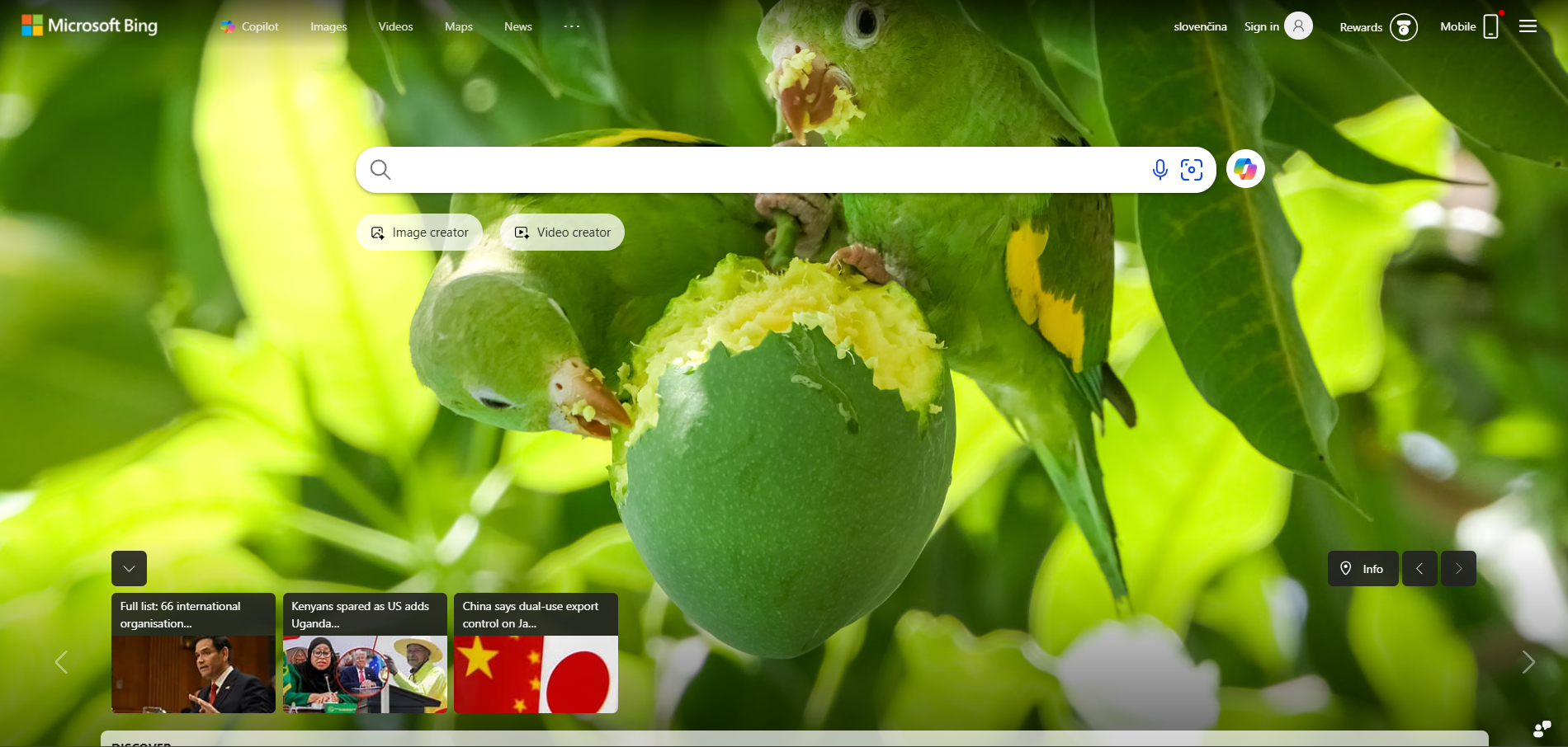 Bingi abiteenuse kontaktid