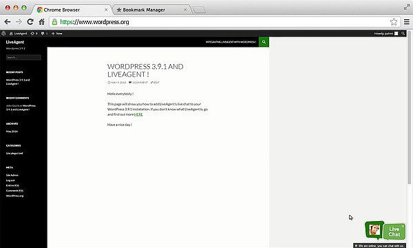 LiveAgent-WordPress-integreerimine