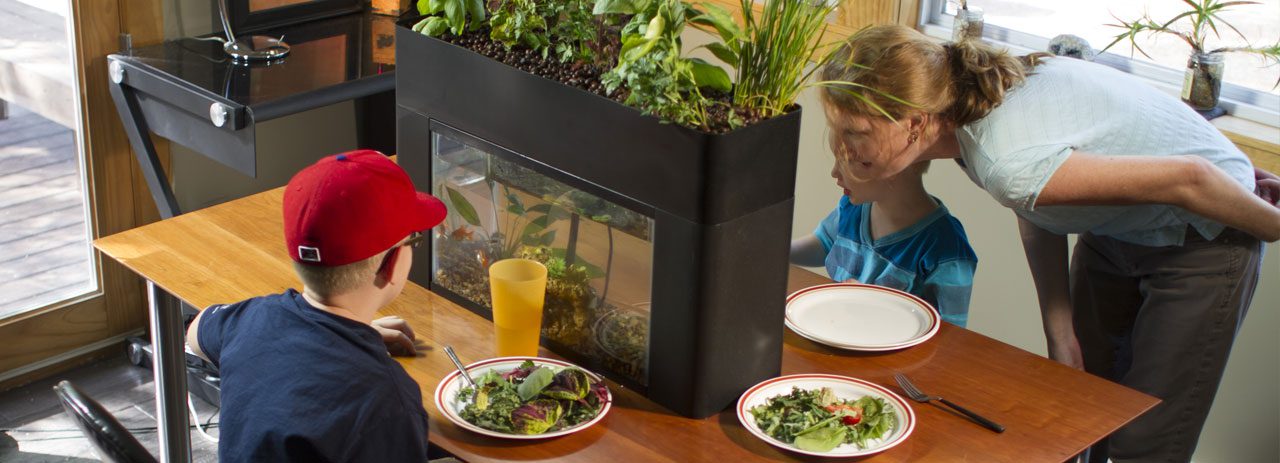 AquaSproutsi jätkusuutlikkus