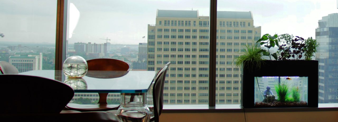 AquaSproutsi meeskond