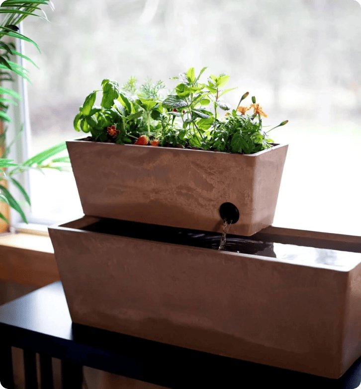 Kuidas AquaSprouts saavutab 96,5% kliendi rahulolu määra LiveAgentiga