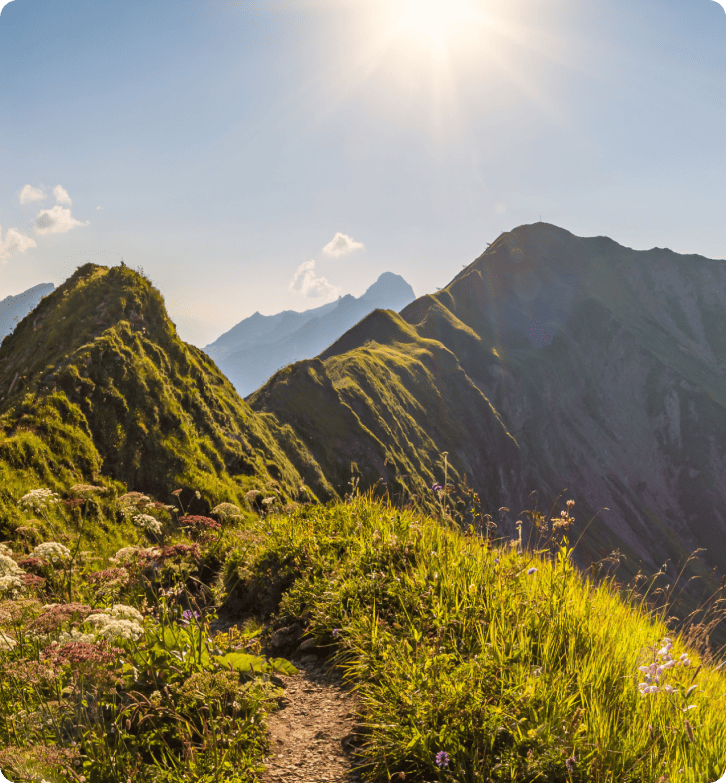 Kuidas ZlavaDna parandas klienditeenindust LiveAgentiga
